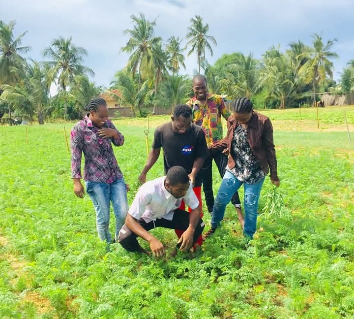 Scarlet macaw portrait
